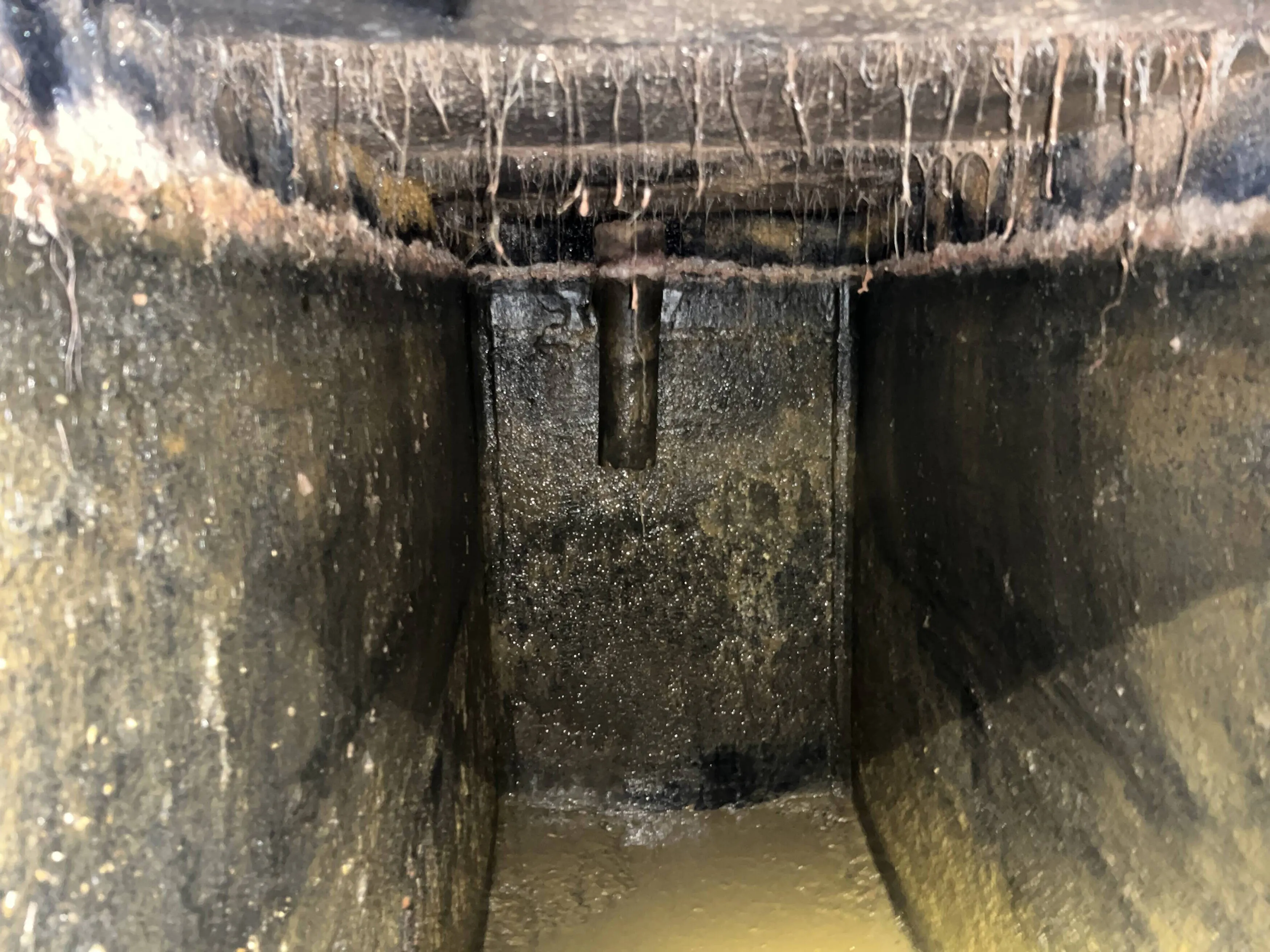 Septic Tank Inspections